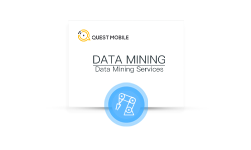 DATA MINING 數(shù)據(jù)挖掘分析服務(wù)